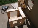 nest-box-beginnings.jpg