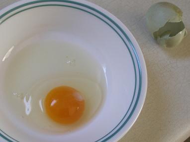 egg-1-yolk.jpg