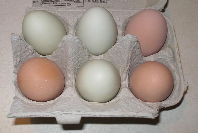 Green & Brown Eggs