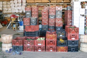 crates full of veggies by Rachel Carlson Photography