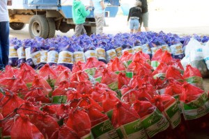 Red (single), Purple (half), and White (full) shares for the members.