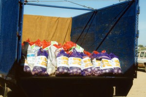 truck is loaded by Rachel Carlson